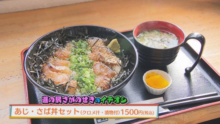 道の駅 さがのせき