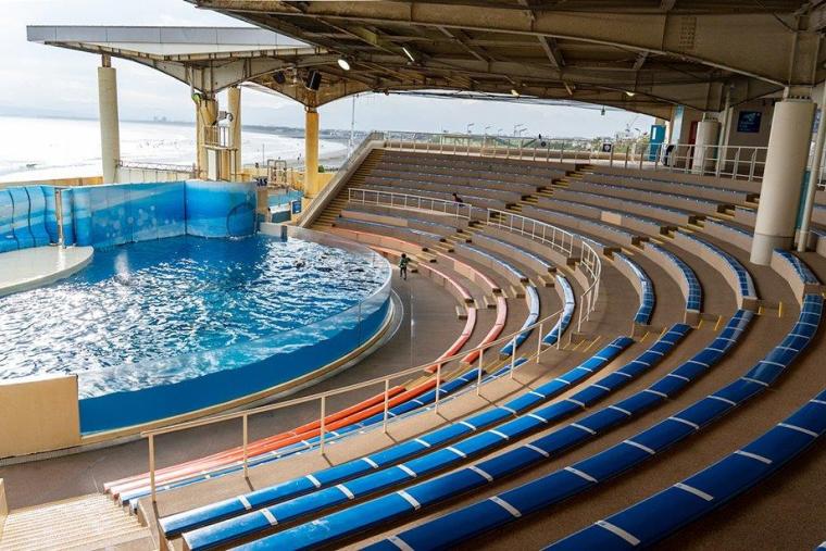 イルカショースタジアム