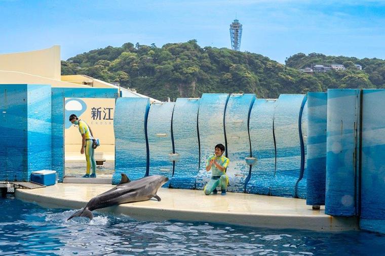 イルカショースタジアム