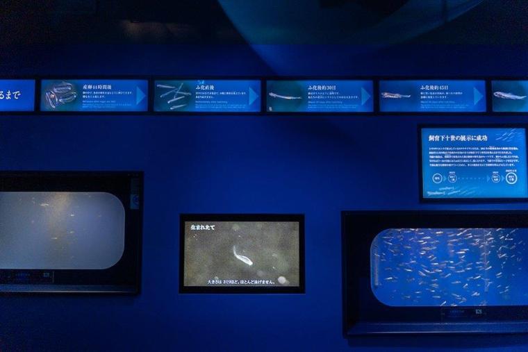 シラスサイエンス