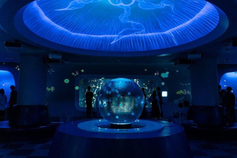 クラゲファンタジーホール