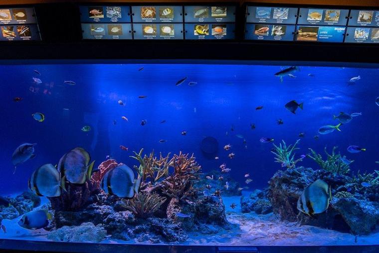 新江ノ島水族館