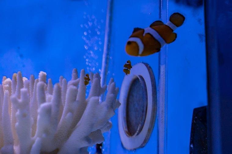 新江ノ島水族館