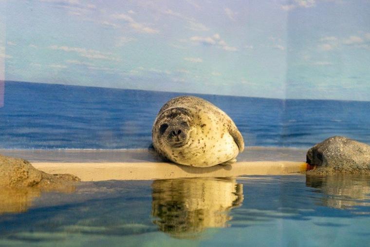 新江ノ島水族館