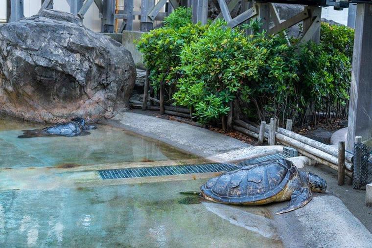 新江ノ島水族館