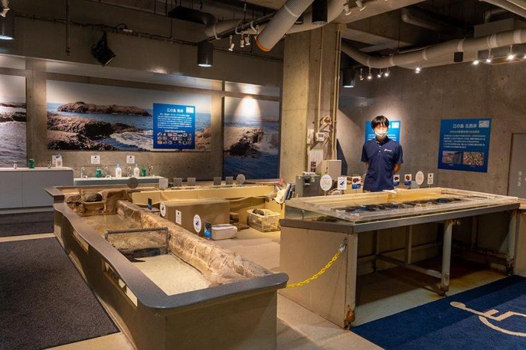 新江ノ島水族館