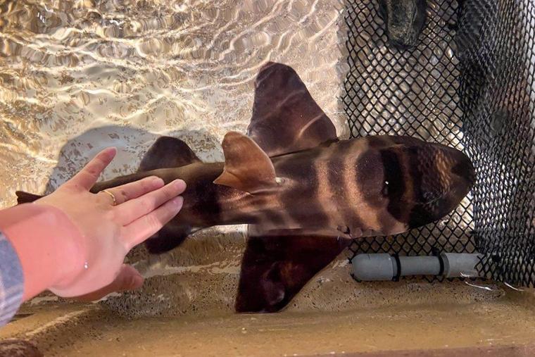 新江ノ島水族館