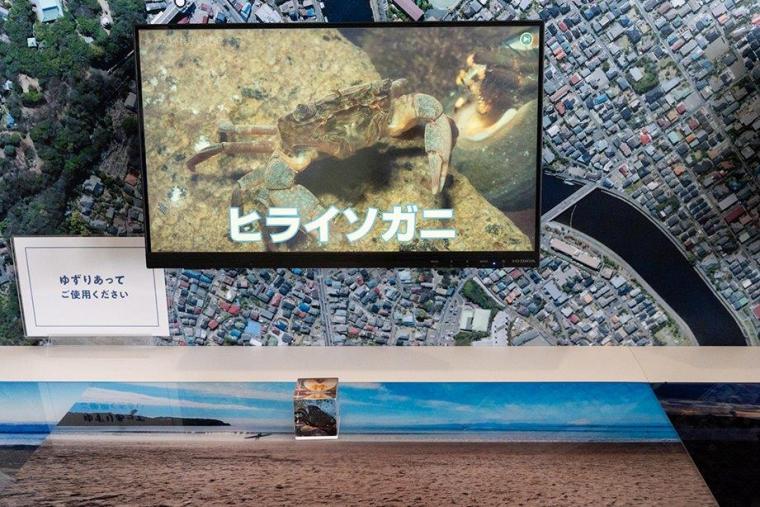 新江ノ島水族館