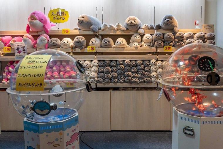 新江ノ島水族館