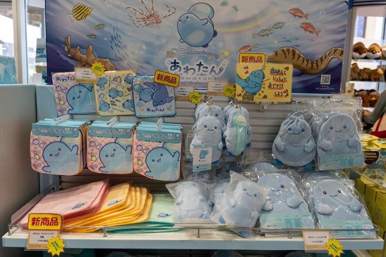 新江ノ島水族館