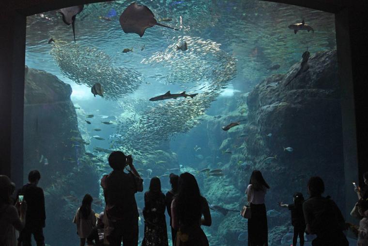 新江ノ島水族館