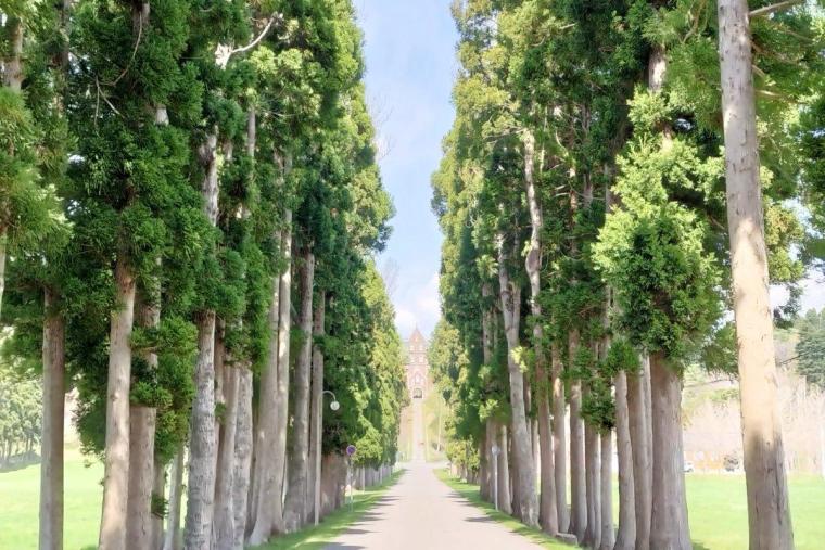 トラピスト修道院