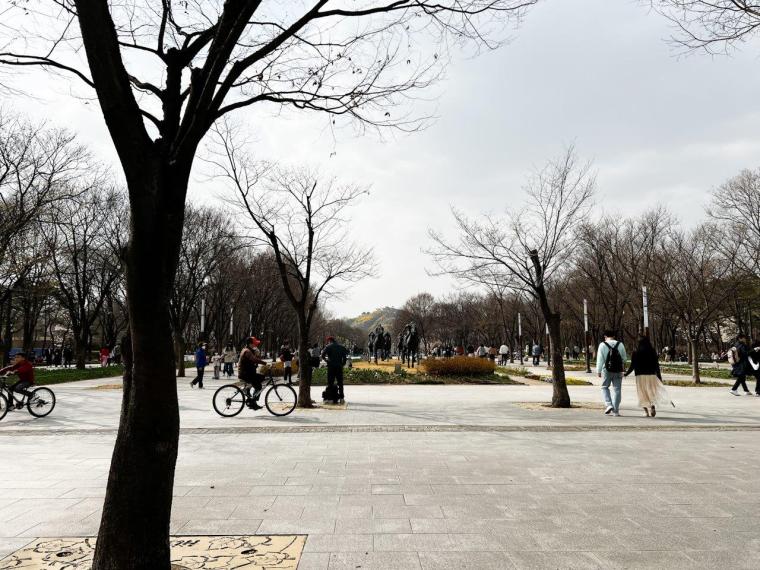 【2023年・韓国最新レポート】ソウルのホットスポット、聖水銅やソウルの森へ(3日目)