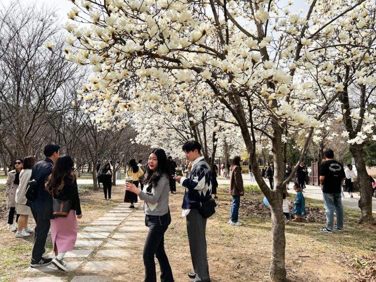 【2023年・韓国最新レポート】ソウルのホットスポット、聖水銅やソウルの森へ(3日目)