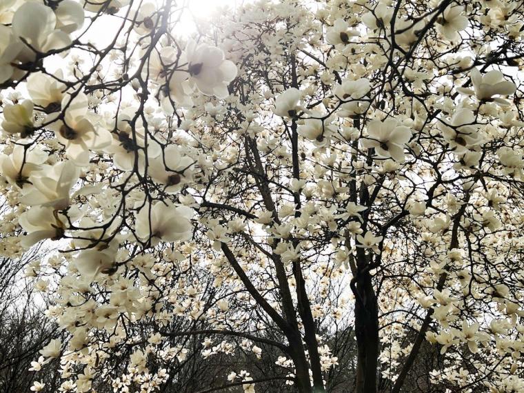 【2023年・韓国最新レポート】ソウルのホットスポット、聖水銅やソウルの森へ(3日目)