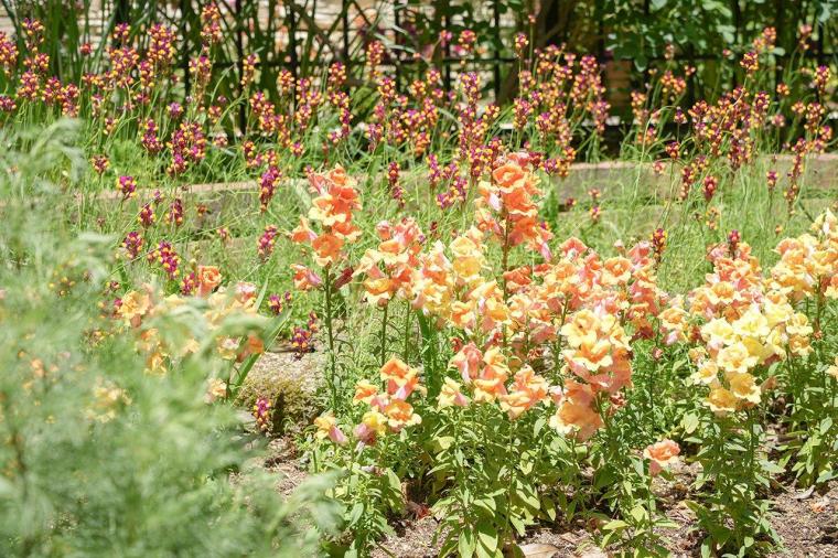 長野県大野市　ラ・カスタ ナチュラル ヒーリング ガーデン