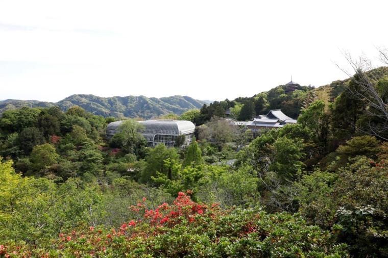 高知県立牧野植物園