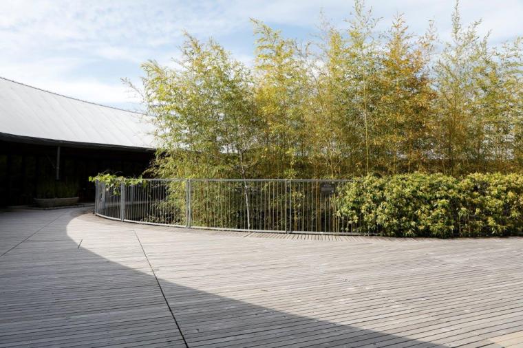 高知県立牧野植物園