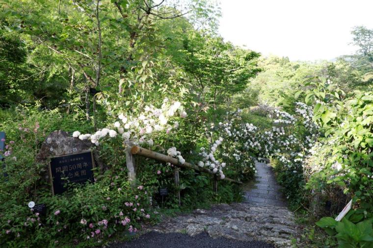 高知県立牧野植物園