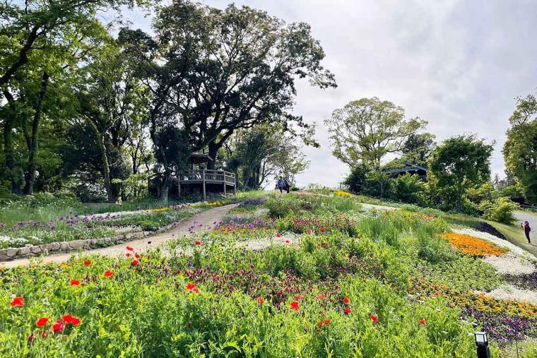 牧野植物園こんこん山広場