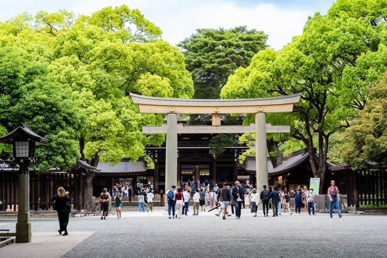 CAFÉ「杜のテラス」