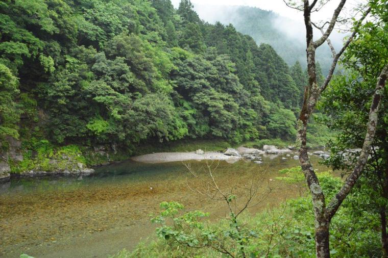 鮎料理専門店 鮎や