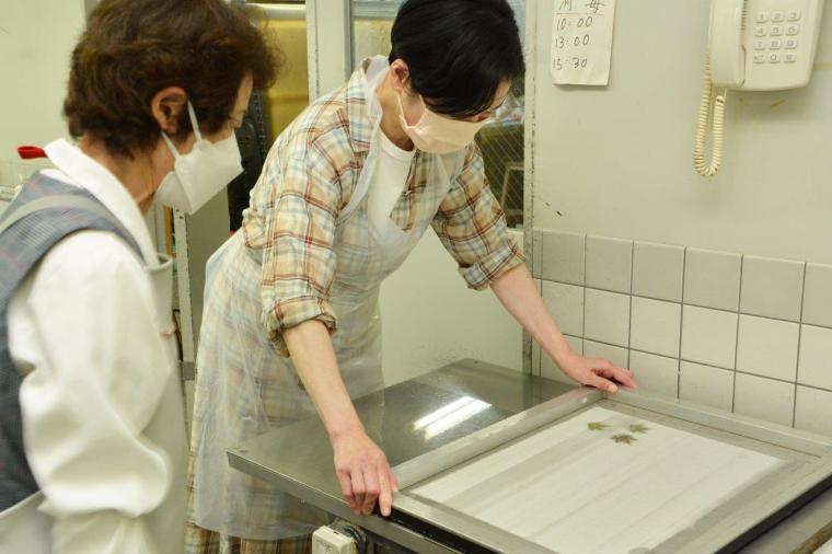 美濃和紙の里会館