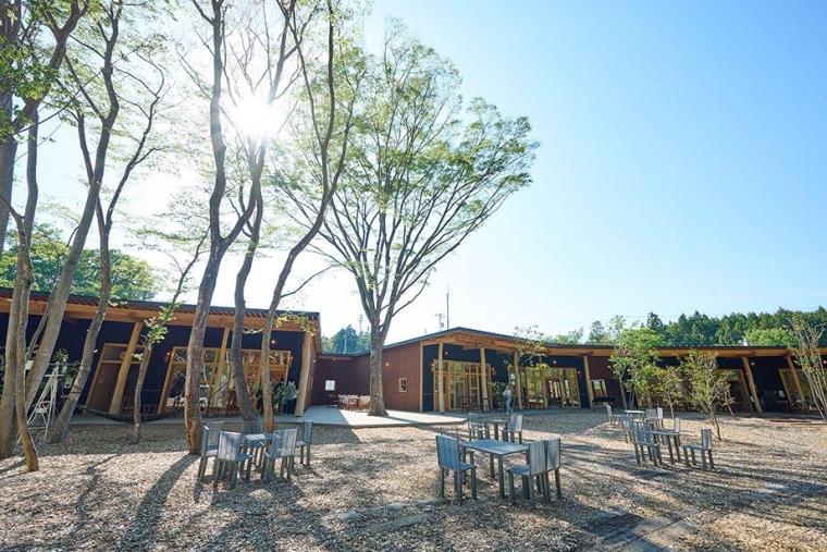 GOOD NEWS（グッドニュース）