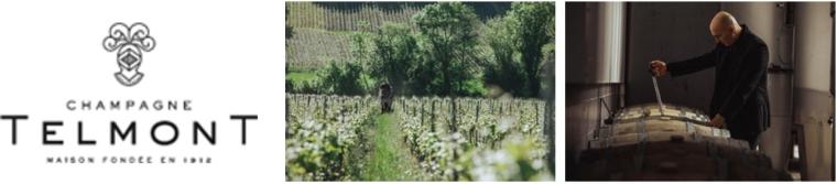Telmont（テルモン）のロゴと製造の模様