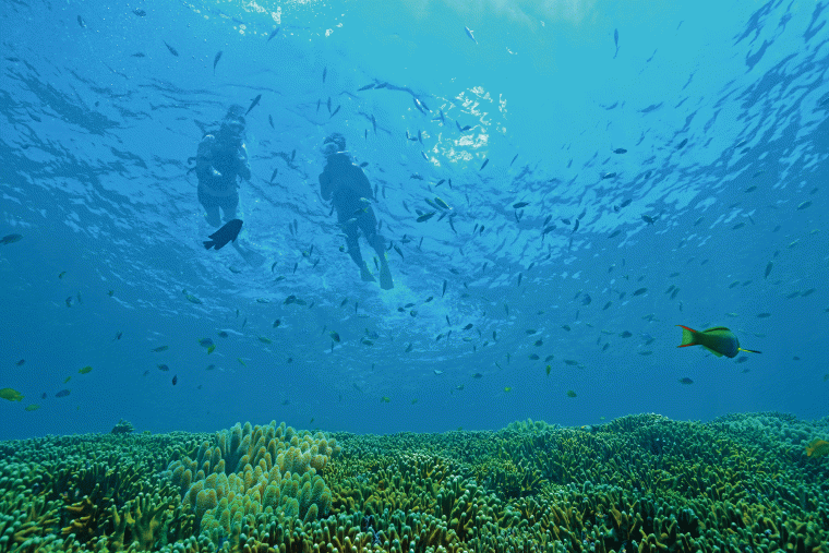 アクティビティ優待などが受けられる「CLUB潮風プレミア」