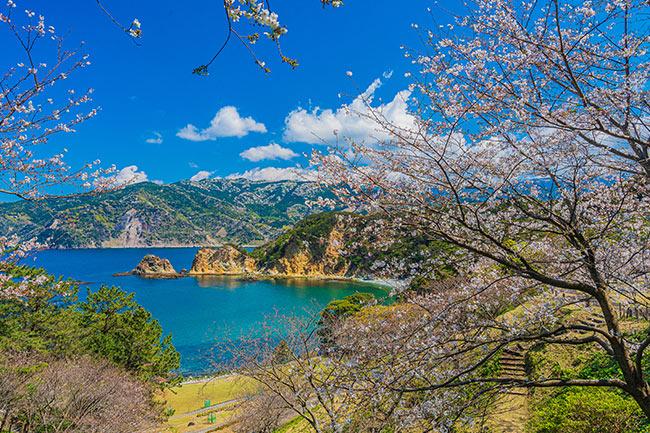 夕陽を浴びて輝く岩肌が美しい「黄金崎公園」
