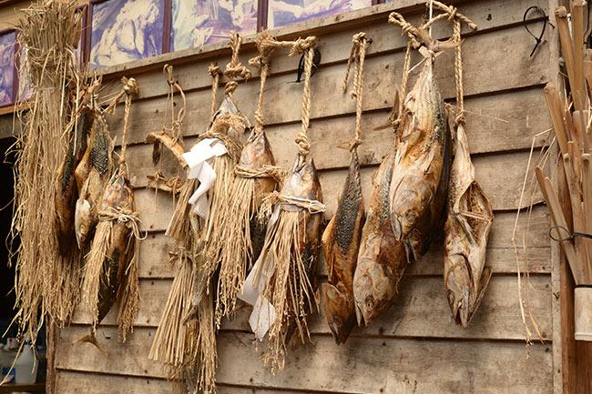 田子の伝統食品・鰹節と潮かつお「カネサ鰹節商店」