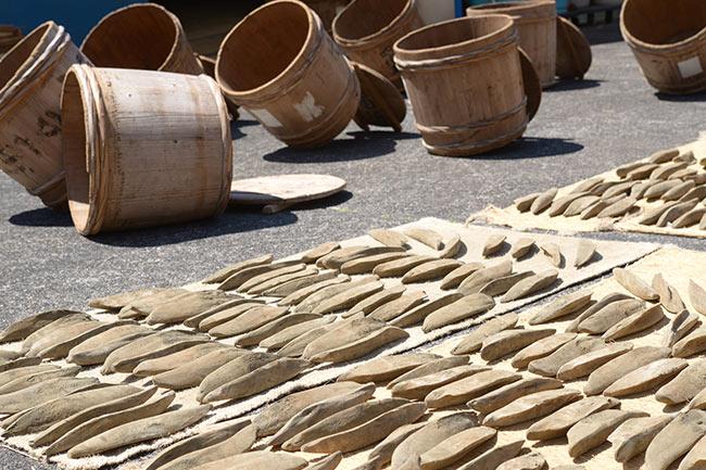 田子の伝統食品・鰹節と潮かつお「カネサ鰹節商店」