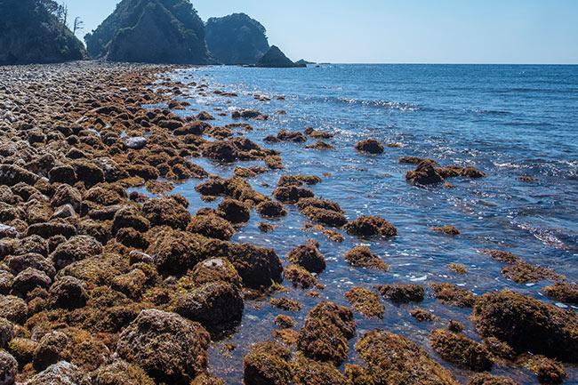 海が割れて現れる道！三四郎島（さんしろうじま）の「トンボロ現象」
