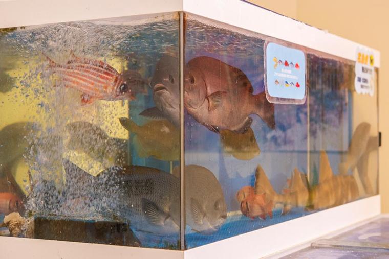 鮮度抜群、地域密着型のマーケット「はんばた市場」