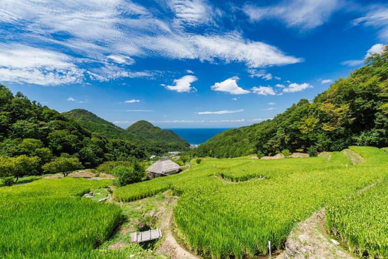 日本の原風景を見下ろす「石部棚田（いしぶたなだ）」