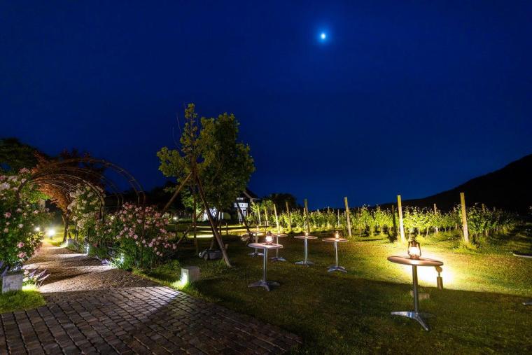 Winerystay TRAVIGNE
