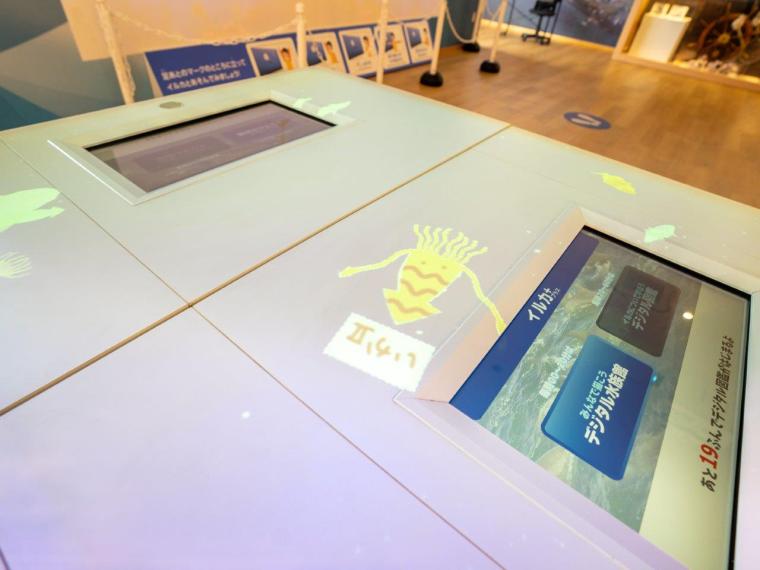 道の駅天草市イルカセンタ-　デジタル水族館デザイン生き物