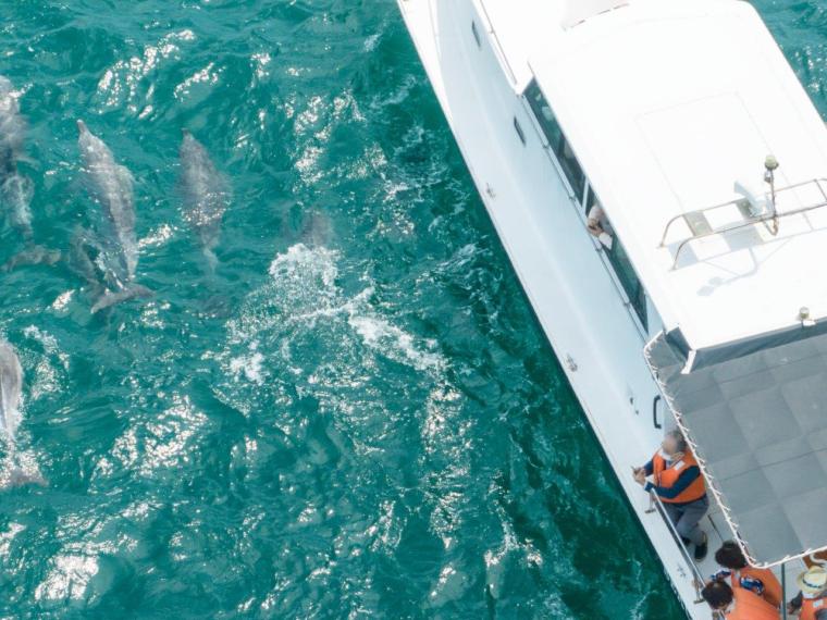 通詞島海の青さ上から