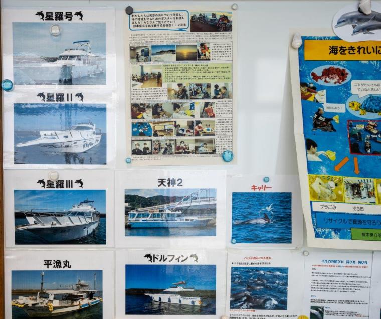 道の駅天草市イルカセンター　船の種類