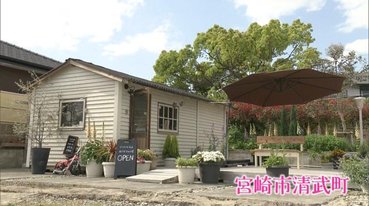 ジャムリエ長友