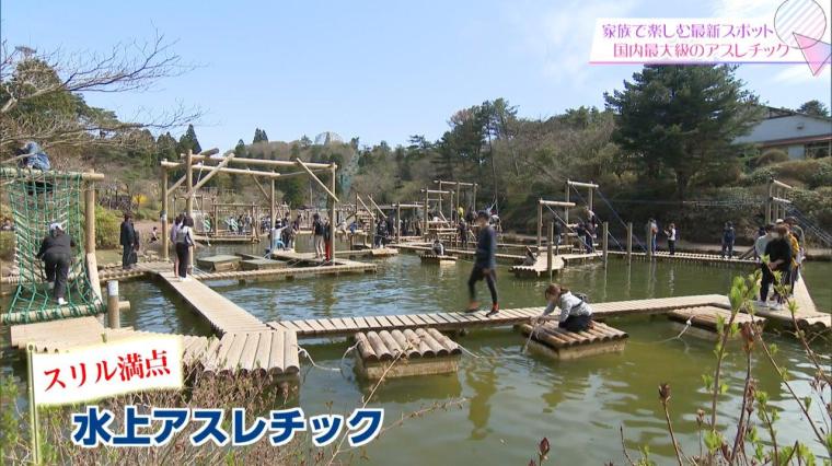 六甲山アスレチックパーク