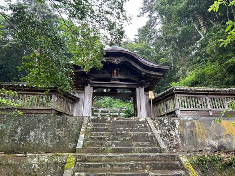 【2023開花状況】アジサイ寺とも呼ばれる月照寺。色とりどりのアジサイが見頃を迎えます｜松江市