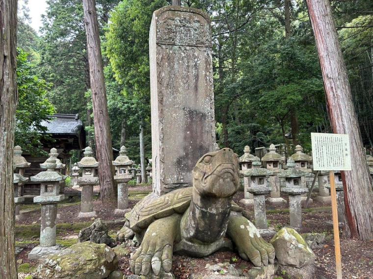 【2023開花状況】アジサイ寺とも呼ばれる月照寺。色とりどりのアジサイが見頃を迎えます｜松江市