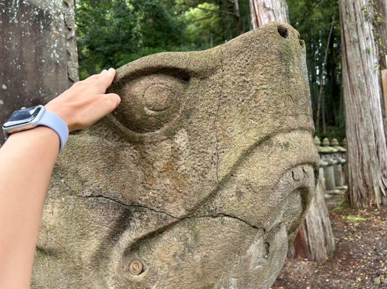 【2023開花状況】アジサイ寺とも呼ばれる月照寺。色とりどりのアジサイが見頃を迎えます｜松江市