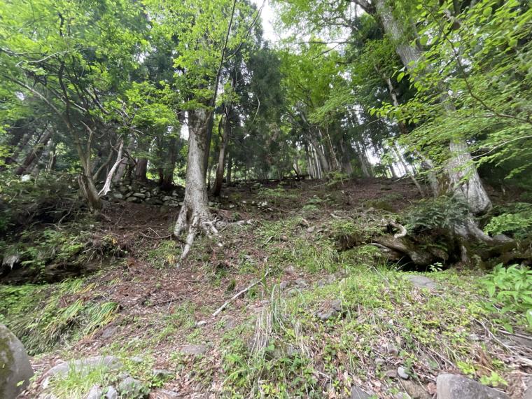 鳥取県の山あいの地域にある地元民おすすめ超穴場な涼スポット！民家の間の細道を通ってたどり着く「権現滝」