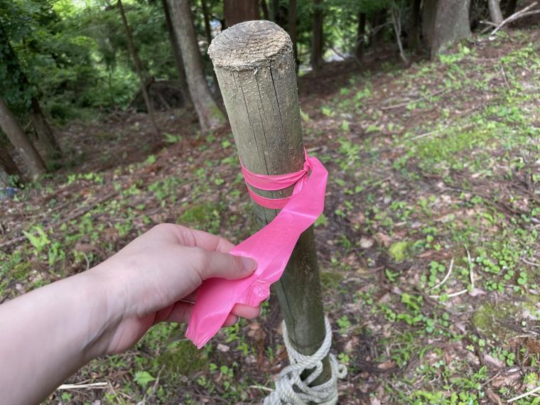 鳥取県の山あいの地域にある地元民おすすめ超穴場な涼スポット！民家の間の細道を通ってたどり着く「権現滝」