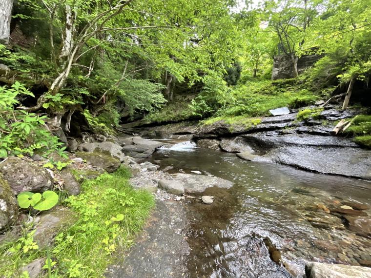 鳥取県の山あいの地域にある地元民おすすめ超穴場な涼スポット！民家の間の細道を通ってたどり着く「権現滝」
