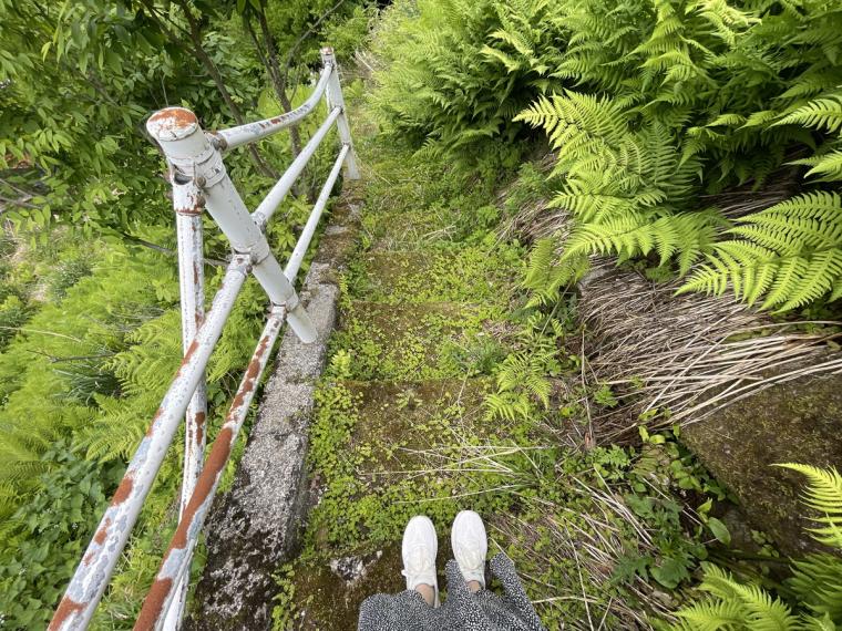 鳥取県の山あいの地域にある地元民おすすめ超穴場な涼スポット！民家の間の細道を通ってたどり着く「権現滝」