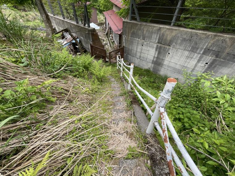 鳥取県の山あいの地域にある地元民おすすめ超穴場な涼スポット！民家の間の細道を通ってたどり着く「権現滝」